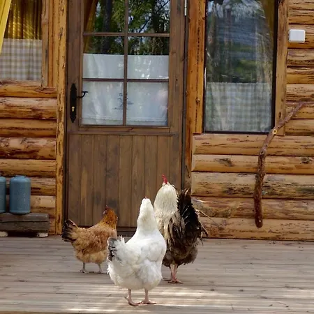 B&B Elaemys Aemmi Bed & Breakfast *