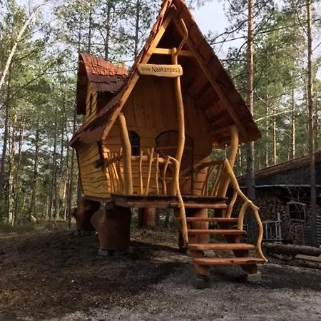 B&B Elaemys Aemmi *