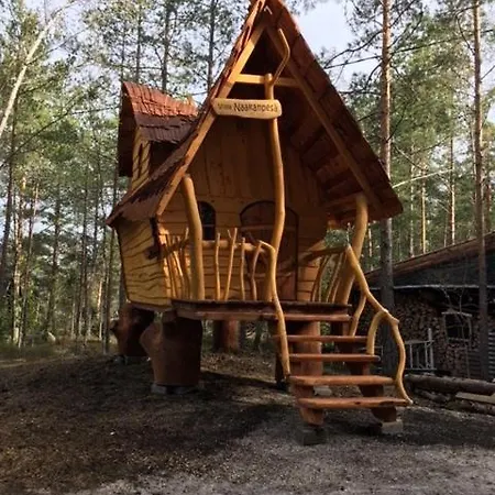 B&B Elaemys Aemmi *