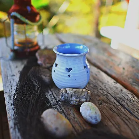 B&B Elaemys Aemmi Sauvo