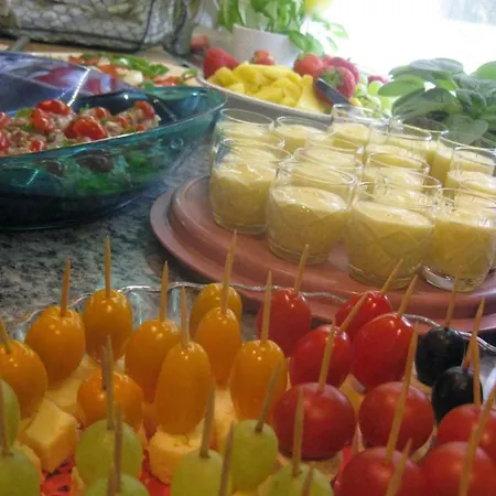 B&B Elaemys Aemmi Sauvo