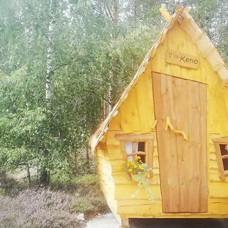 B&B Elaemys Aemmi