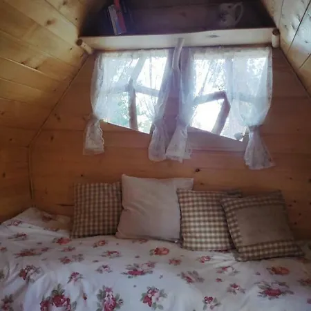 B&B Elaemys Aemmi