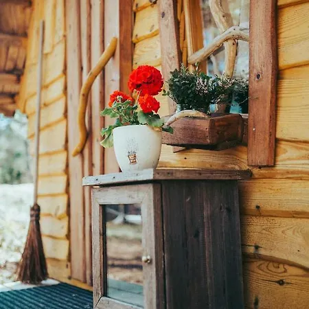 住宿加早餐酒店 B&B Elaemys Aemmi