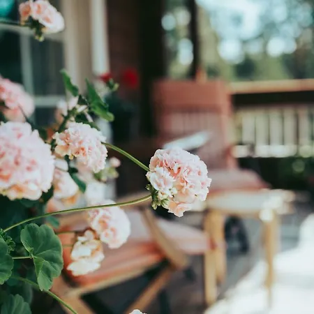 B&B Elaemys Aemmi Bed & Breakfast *