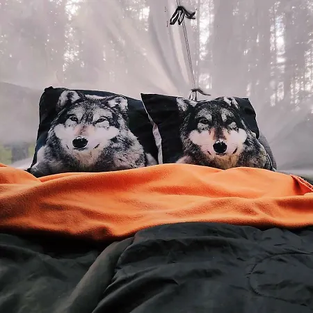 B&B Elaemys Aemmi Sauvo