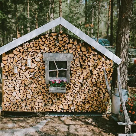 B&B Elaemys Aemmi Sauvo