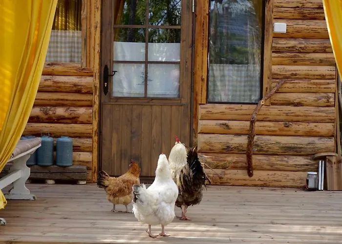 B&B Elaemys Aemmi Couette-café *