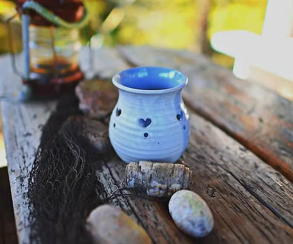 B&B Elaemys Aemmi Sauvo