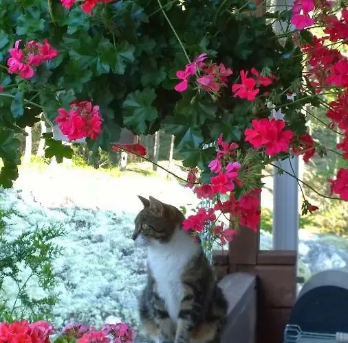 B&B Elaemys Aemmi Couette-café *