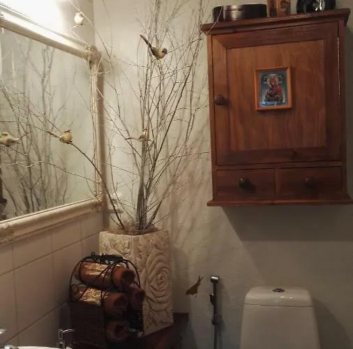 Alojamento de Acomodação e Pequeno-almoço B&B Elaemys Aemmi Sauvo