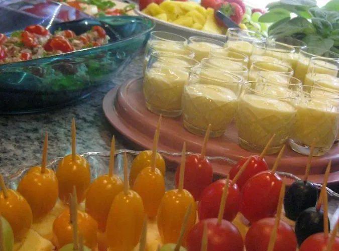 B&B Elaemys Aemmi Sauvo