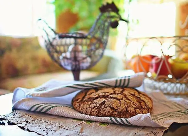 Alojamento de Acomodação e Pequeno-almoço B&B Elaemys Aemmi Sauvo