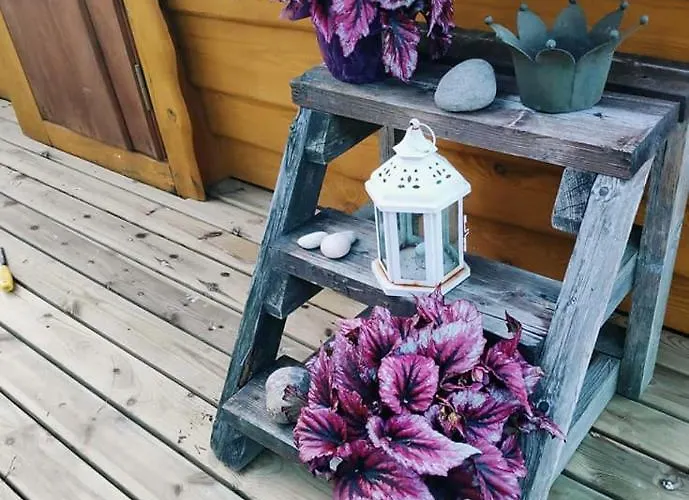 Couette-café B&B Elaemys Aemmi Sauvo