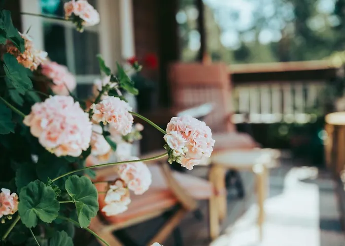 B&B Elaemys Aemmi Alojamento de Acomodação e Pequeno-almoço *