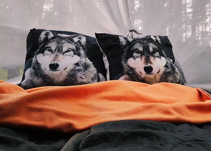 B&B Elaemys Aemmi Sauvo