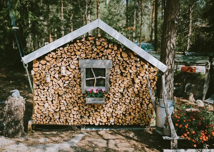 B&B Elaemys Aemmi Sauvo